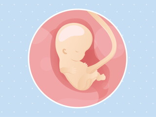pregnancy week9 temporary pregnancy week9 temporary