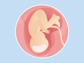 pregnancy week37 temporary pregnancy week37 temporary