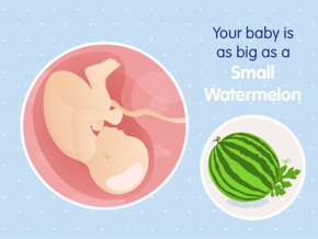 pregnancy week39 temporary pregnancy week39 temporary