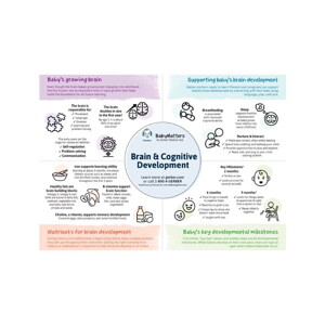 Brain & Cognitive Development Brain & Cognitive Development