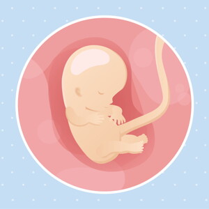 pregnancy week10 temporary