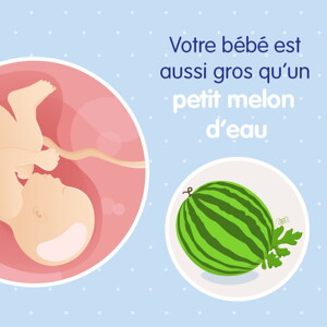 pregnancy-belly-fetal-development-week-39fr
