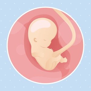 pregnancy week9 temporary