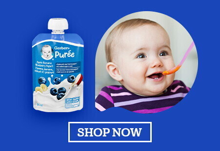 Delicious, Nutritious Purees